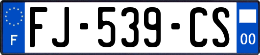 FJ-539-CS