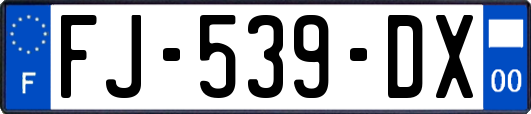 FJ-539-DX