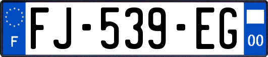 FJ-539-EG