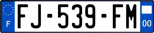 FJ-539-FM