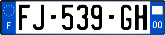 FJ-539-GH