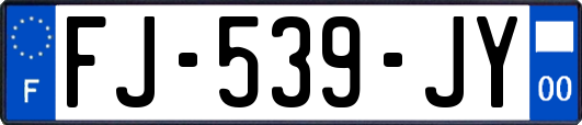 FJ-539-JY