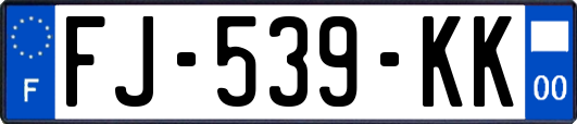 FJ-539-KK