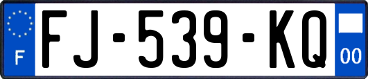 FJ-539-KQ