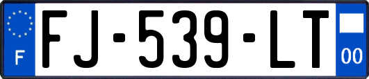 FJ-539-LT