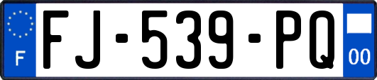 FJ-539-PQ