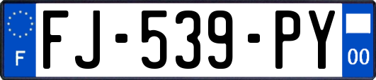 FJ-539-PY
