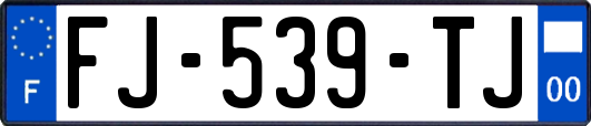 FJ-539-TJ