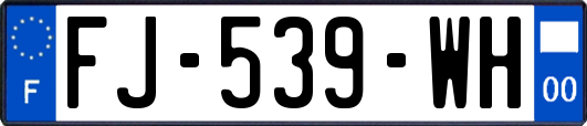 FJ-539-WH