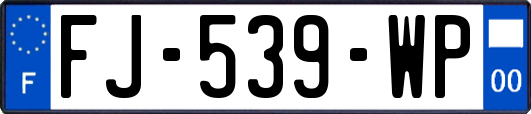 FJ-539-WP