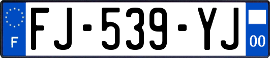 FJ-539-YJ
