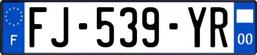 FJ-539-YR