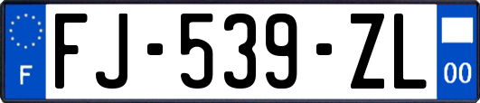 FJ-539-ZL