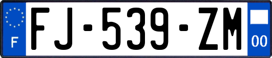 FJ-539-ZM