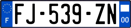 FJ-539-ZN