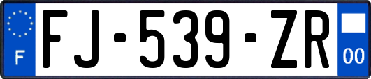 FJ-539-ZR