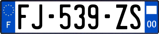 FJ-539-ZS