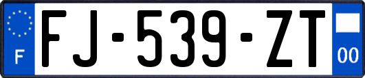 FJ-539-ZT