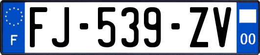 FJ-539-ZV