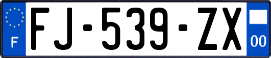 FJ-539-ZX