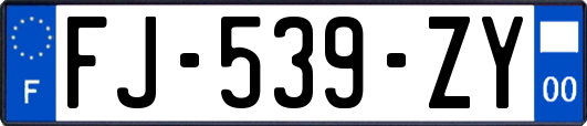 FJ-539-ZY