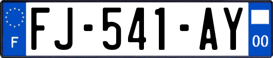 FJ-541-AY