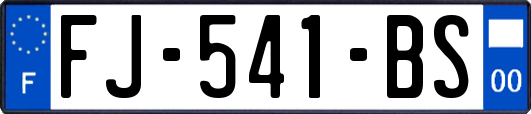 FJ-541-BS
