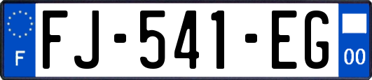 FJ-541-EG