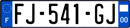 FJ-541-GJ