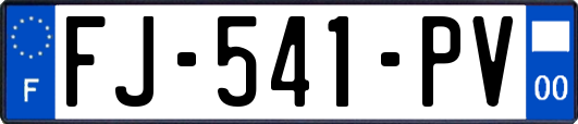 FJ-541-PV