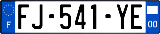 FJ-541-YE