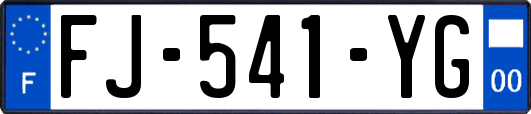 FJ-541-YG