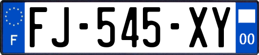 FJ-545-XY