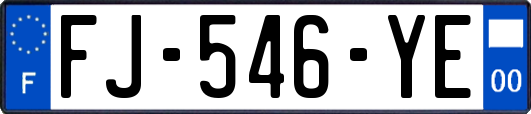 FJ-546-YE