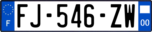 FJ-546-ZW