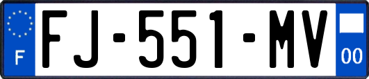 FJ-551-MV