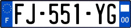 FJ-551-YG