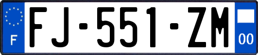 FJ-551-ZM