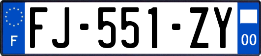 FJ-551-ZY