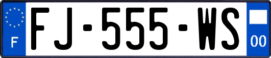 FJ-555-WS