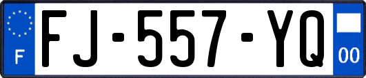 FJ-557-YQ