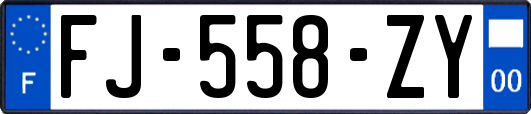 FJ-558-ZY