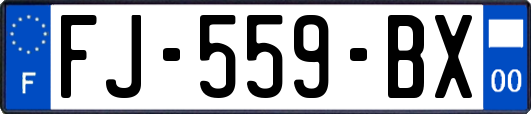 FJ-559-BX