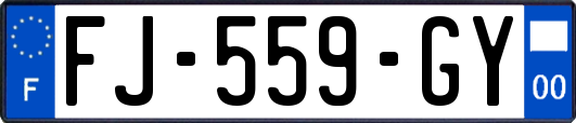 FJ-559-GY