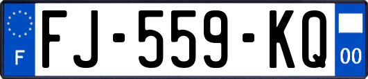 FJ-559-KQ