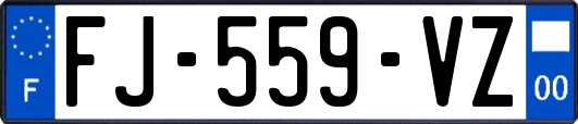 FJ-559-VZ