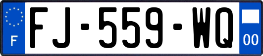 FJ-559-WQ