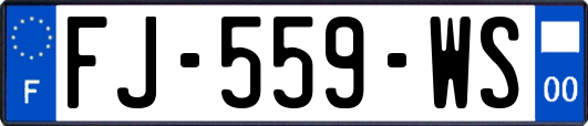 FJ-559-WS