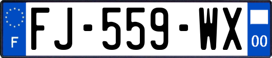 FJ-559-WX