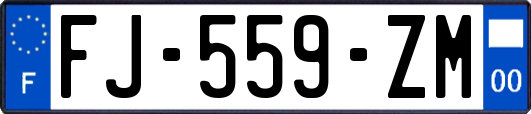 FJ-559-ZM